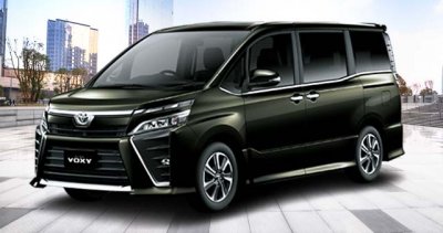 Warna Inazuma Sparkling Black